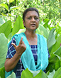 Ms. Niranjana Maru